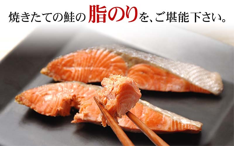 鮭焼き魚