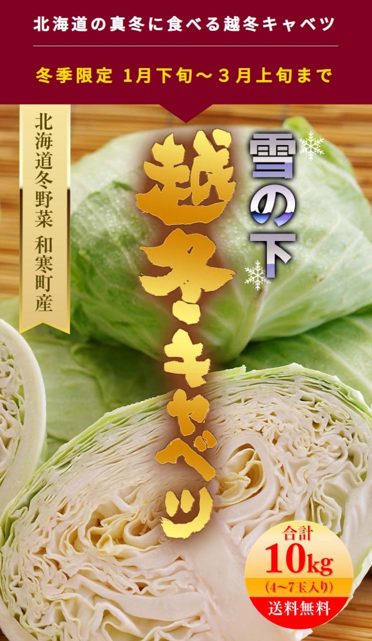 北海道　越冬キャベツ