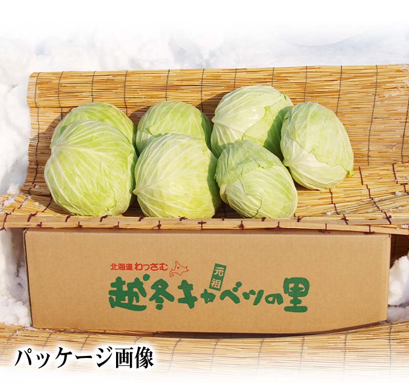 パッケージ画像