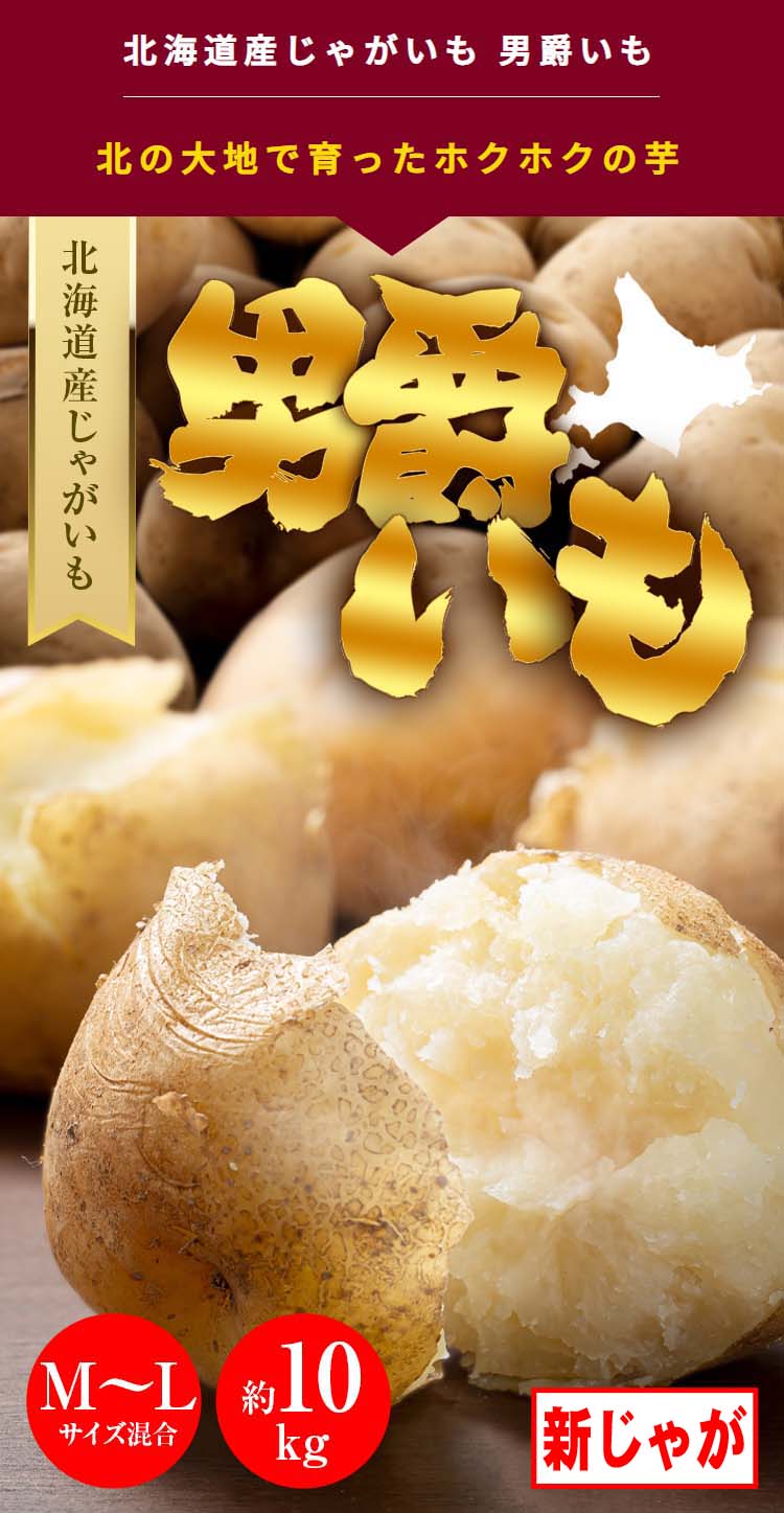 送料無料) じゃがいも 男爵いも 10kg(新じゃが 芋) 北海道産 送料無料) じゃがいも 男爵いも 10kg(新じゃが 芋) 北海道産