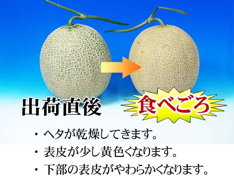 今が食べごろ！