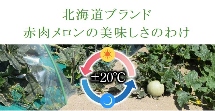 昼夜の気温差+-20℃