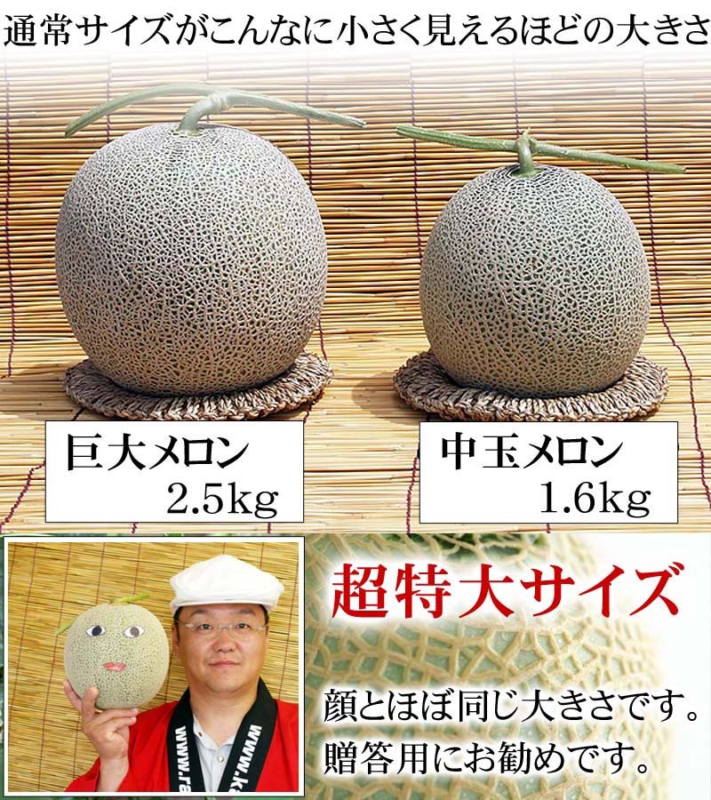 北海道産メロン