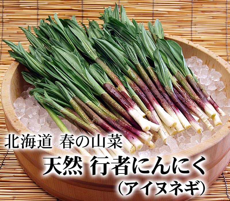 送料無料) 春山菜、野菜。行者にんにく アイヌネギ 500ｇ 北海道産行者ニンニク ギョウジャニンニクはヒトビロ、キトビロとも呼ばれます :  10158 : かに太郎 - 通販 - Yahoo!ショッピング