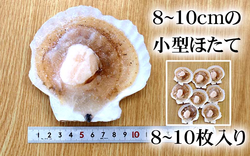 ホタテ片貝 8〜10枚入り(小型) 冷凍 ほたてバター醤油 ホタテ片貝 8〜10枚入り(小型) 冷凍 ほたてバター醤油
