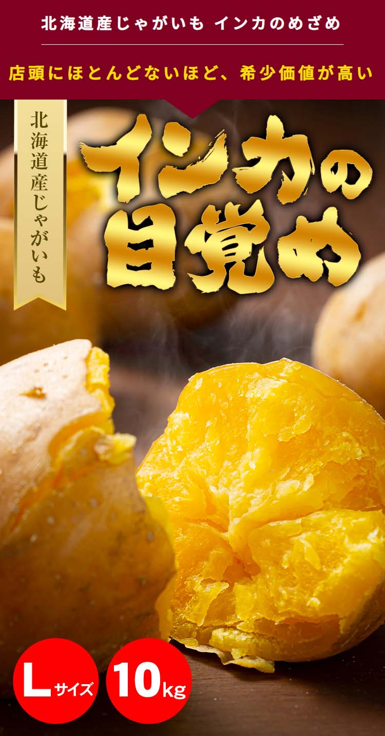 送料無料 Ｌサイズ)北海道産じゃがいも インカのめざめ 大型 10kg(新