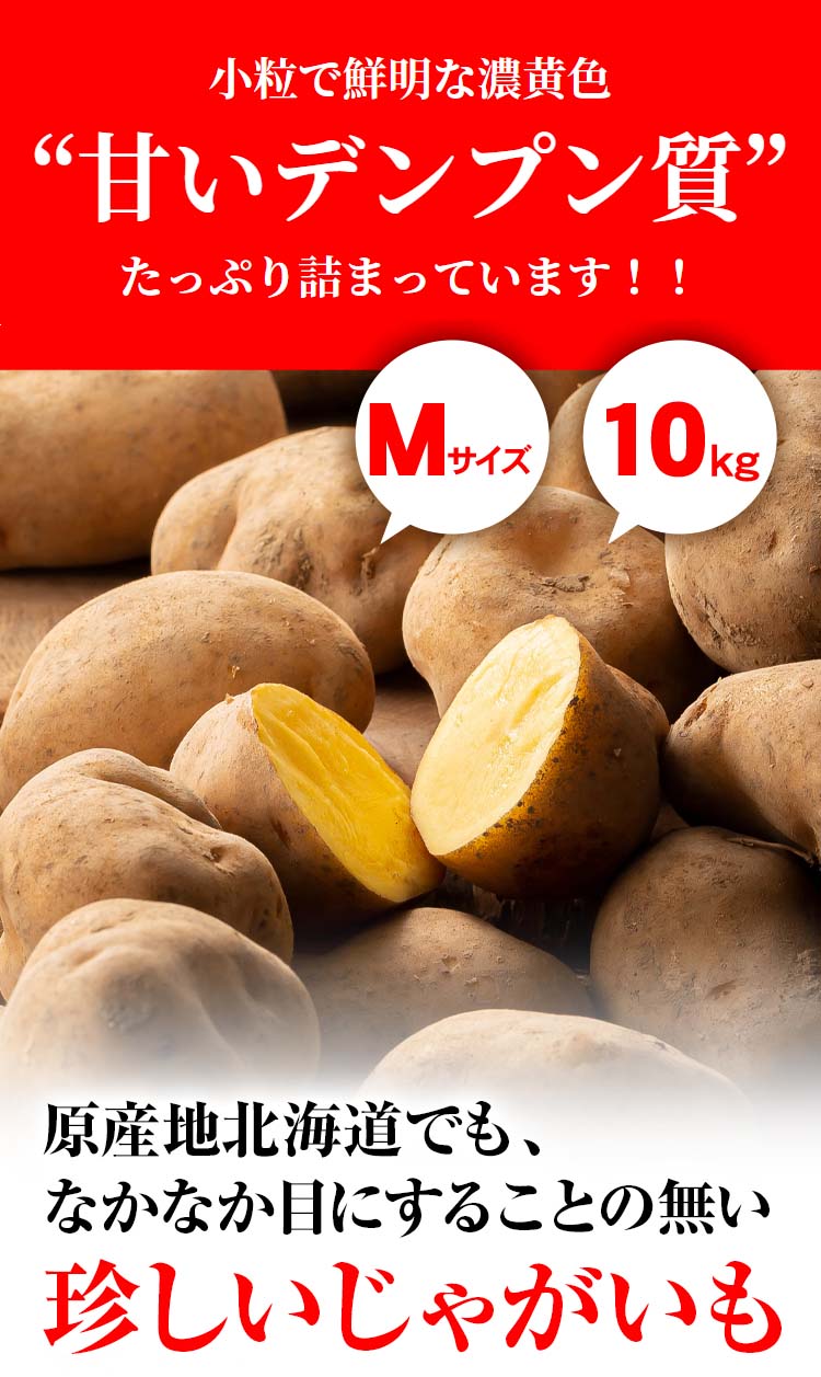 北海道産じゃがいも　インカの目覚め