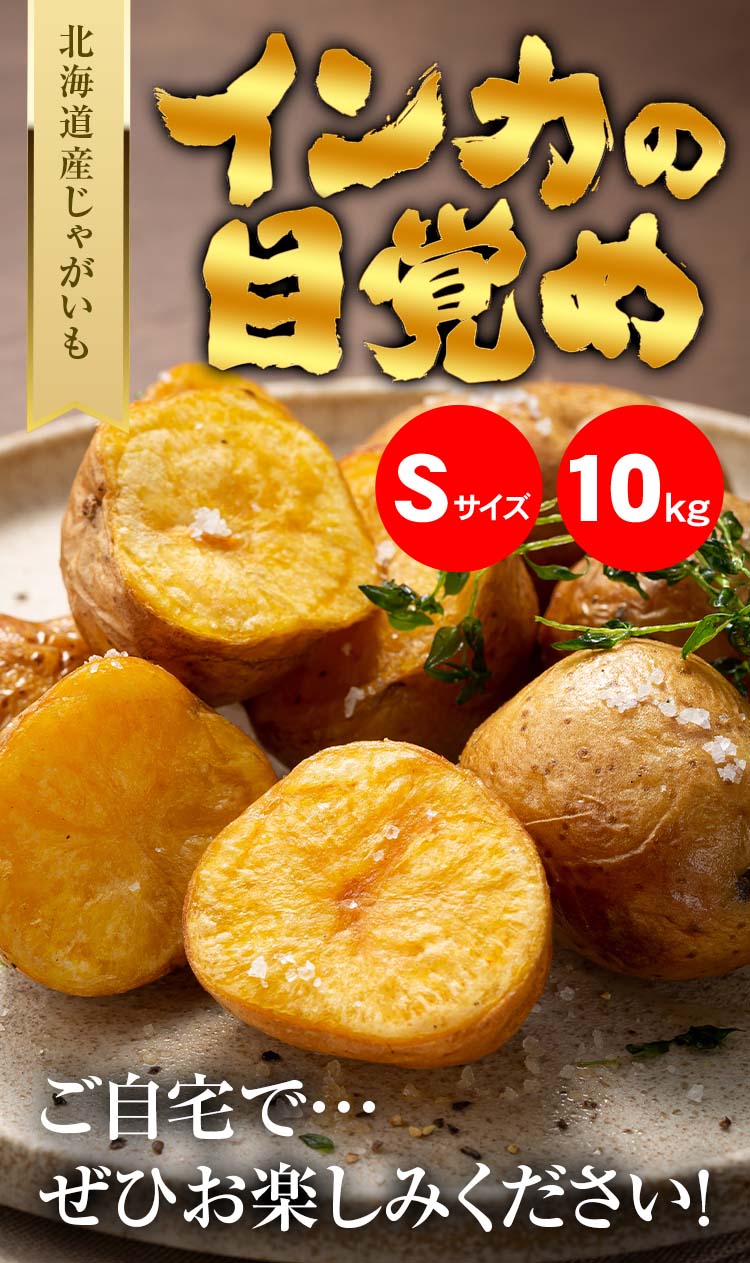 送料無料) Sサイズ 北海道産 じゃがいも インカのめざめ 小型 送料無料) Sサイズ 北海道産 じゃがいも インカのめざめ 小型