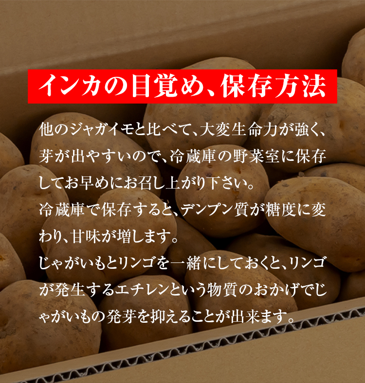 送料無料) Sサイズ 北海道産 じゃがいも インカのめざめ 小型
