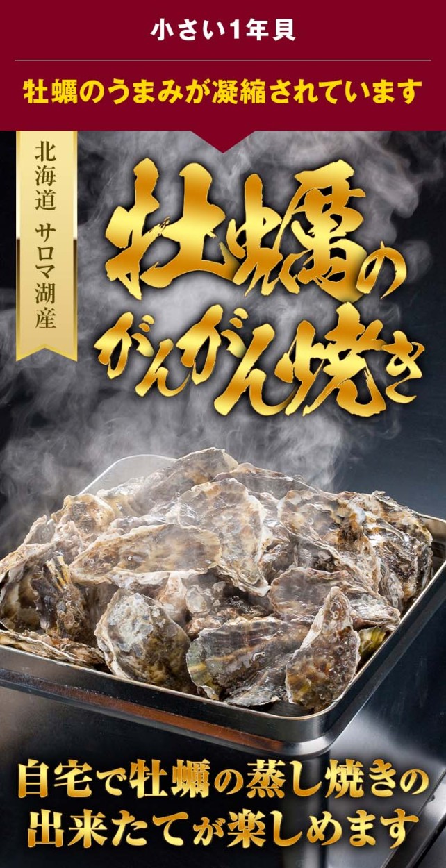 サロマ湖産1年牡蠣貝