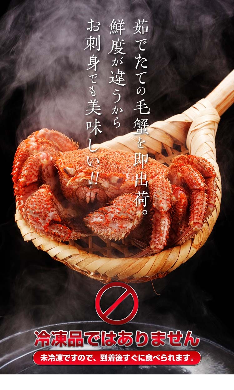 北海道産 活毛ガニ 500g 中型 毛ガニの美味しさを味わうなら 北海道産 活毛ガニ 500g 中型 毛ガニの美味しさを味わうなら