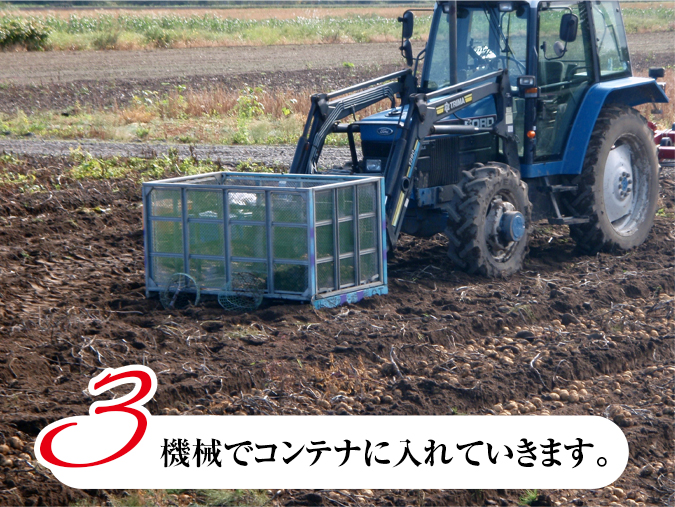 じゃがいもの収穫風景