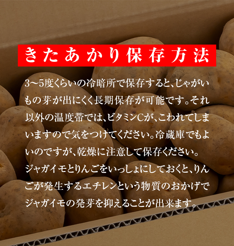 ジャガイモの保存方法