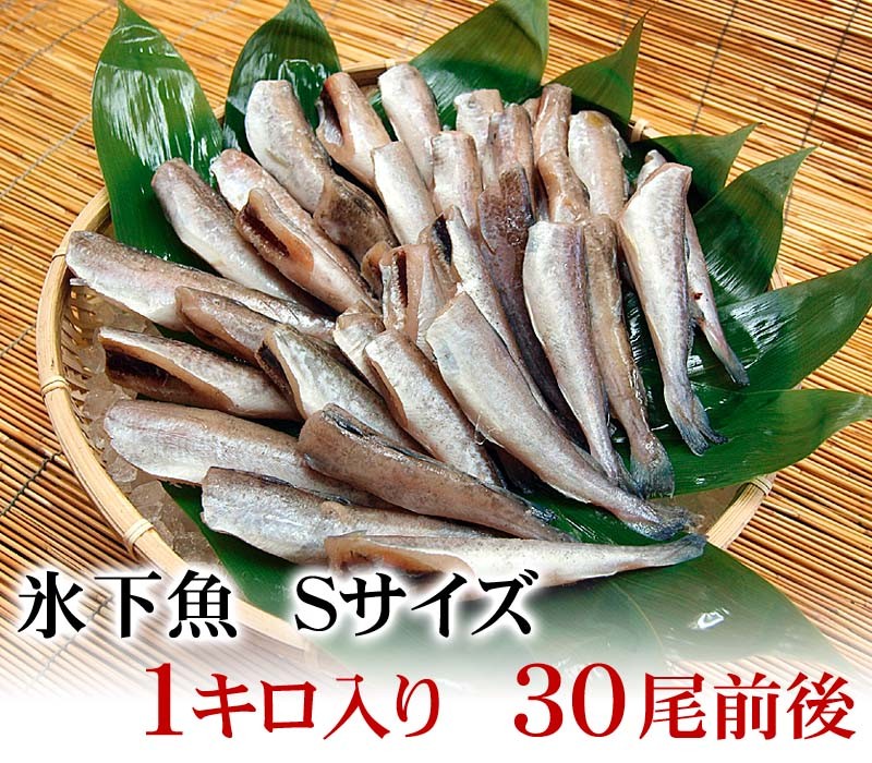 大勧め 北海道産 コマイ 氷下魚 の氷温乾燥一夜干し 約1キロ 200g×5袋 送料無料
