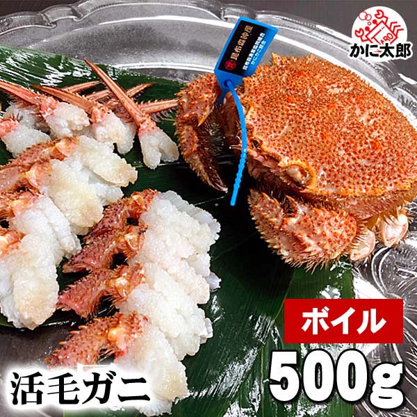 北海道産 活毛ガニ　500ｇ  中型　毛ガニの美味しさを味わうなら、未冷凍（冷蔵） 活け毛蟹 カニ味噌 かに 通販 カニ お取り寄せ 毛がに | ブランド登録なし | 01