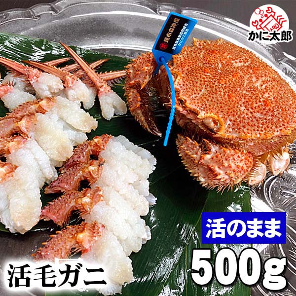 北海道産 活毛ガニ　500ｇ  中型　毛ガニの美味しさを味わうなら、未冷凍（冷蔵） 活け毛蟹 カニ味噌 かに 通販 カニ お取り寄せ 毛がに | ブランド登録なし | 02