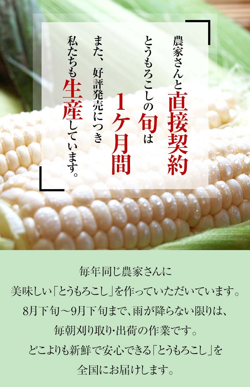 22年度8月配送 早期予約 送料無料 白いとうもろこし 白くまコーン 10本入り 生食 北海道産スイートコーン 朝もぎ生とうきびお取り寄せ かに太郎 通販 Yahoo ショッピング