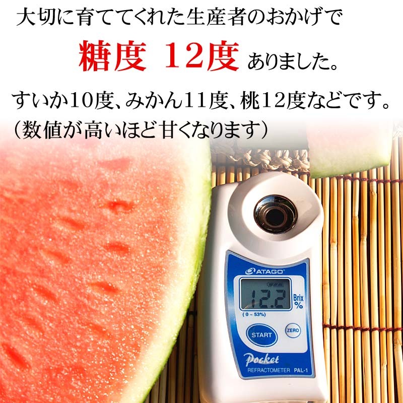 糖度12度のすいか