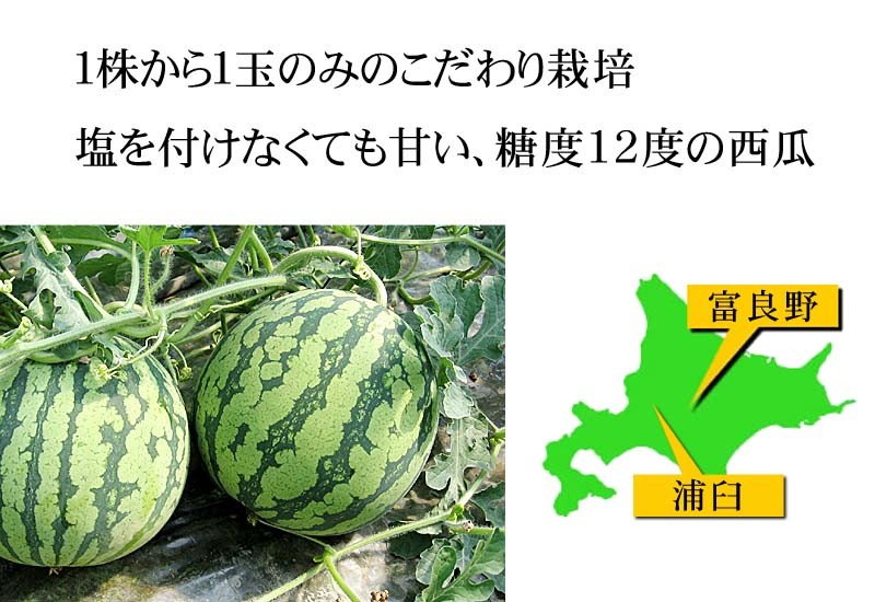 夏はやっぱりマドンナ♪