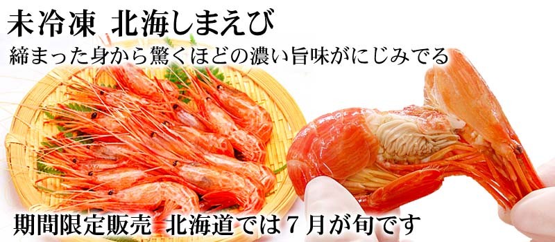 しまえび