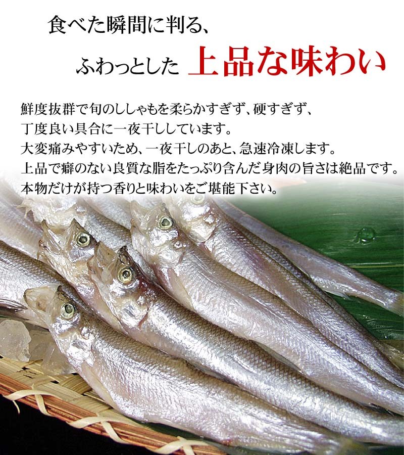 2022年新物 北海道産 子持ち本ししゃも 20尾入り(メス・特大) 北海道産 魚ししゃもです。干物柳葉魚、干し魚。ぷちぷち卵の食感  :10360:かに太郎 - 通販 - Yahoo!ショッピング