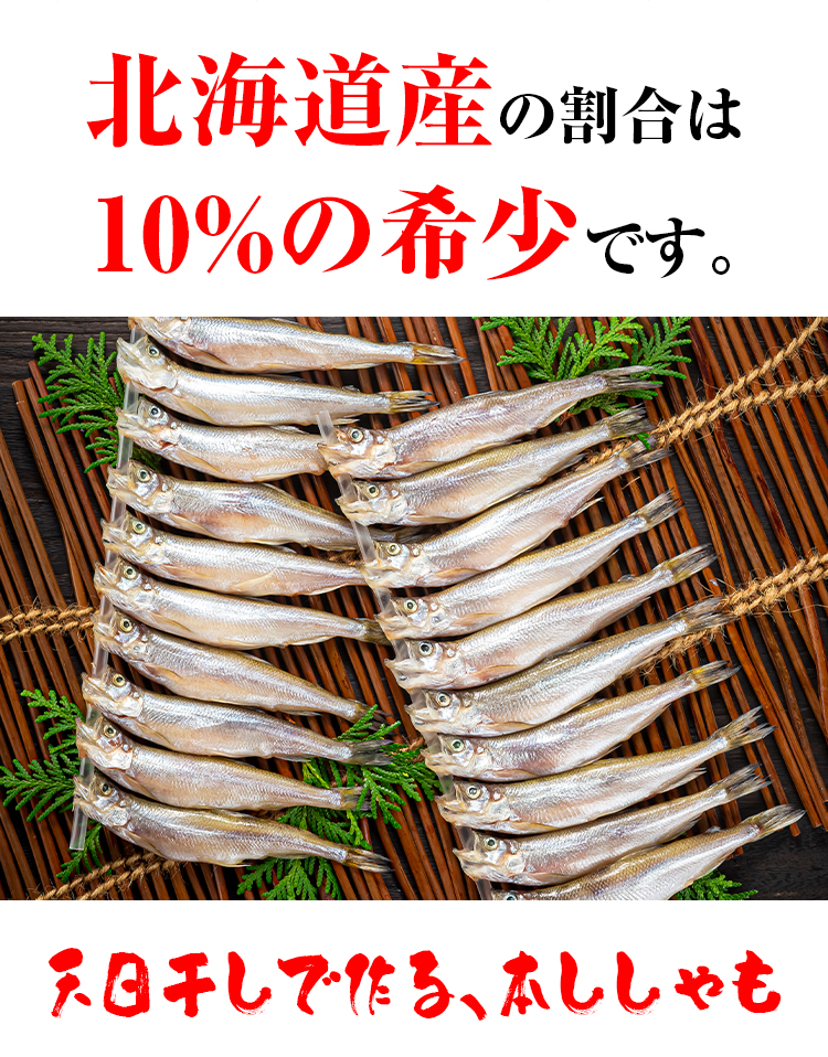北海道産 本ししゃも オス 30尾入り(雄 中サイズ)天日で干した 北海道産 本ししゃも オス 30尾入り(雄 中サイズ)天日で干した