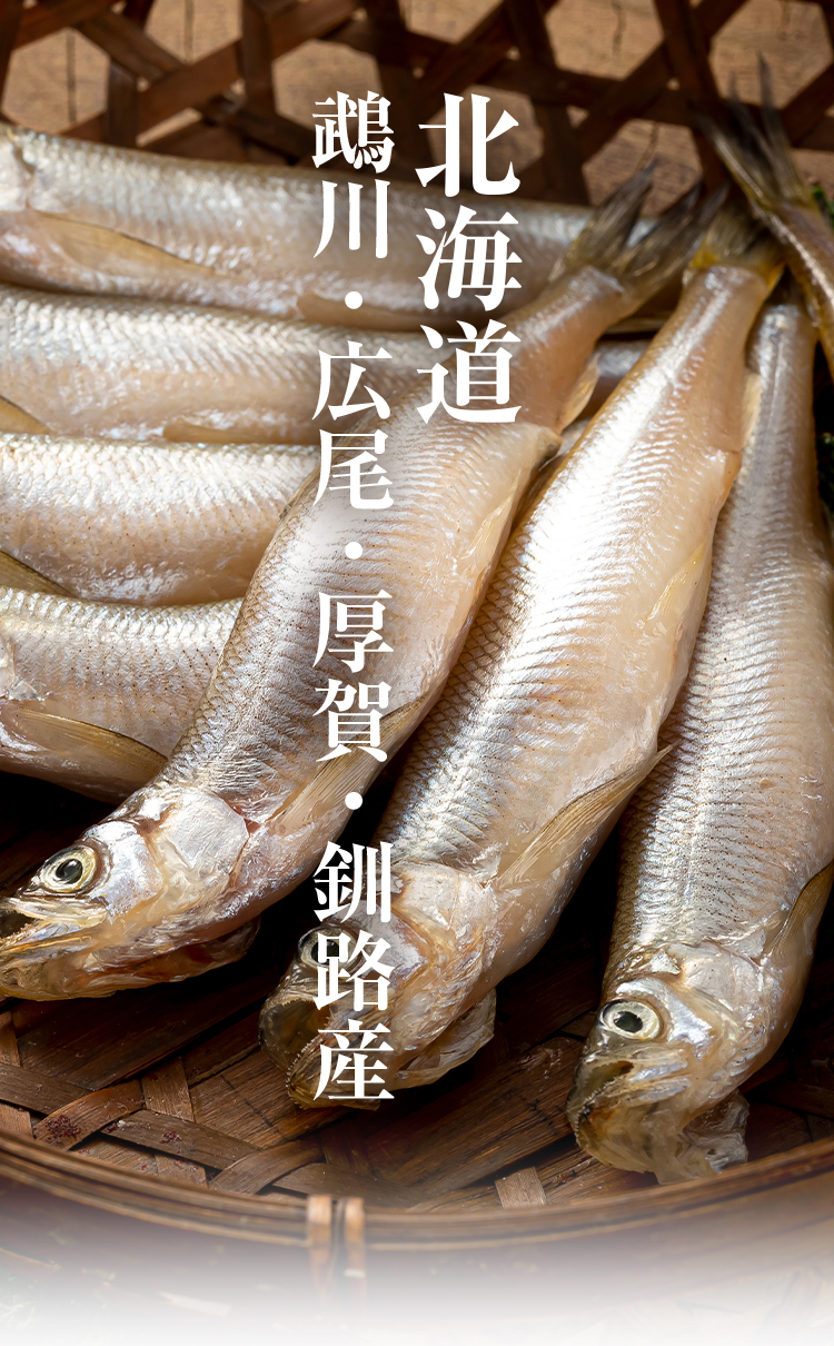 北海道産 本ししゃも オス 30尾入り(雄 中サイズ)天日で干した 北海道産 本ししゃも オス 30尾入り(雄 中サイズ)天日で干した