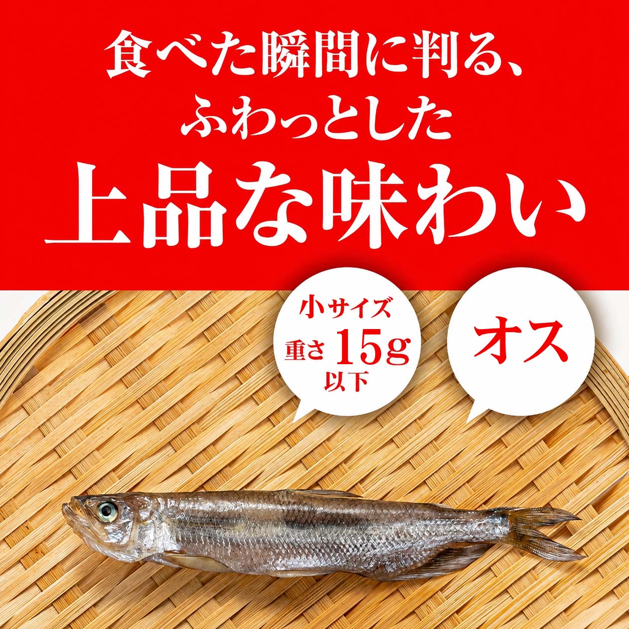 ししゃものサイズ