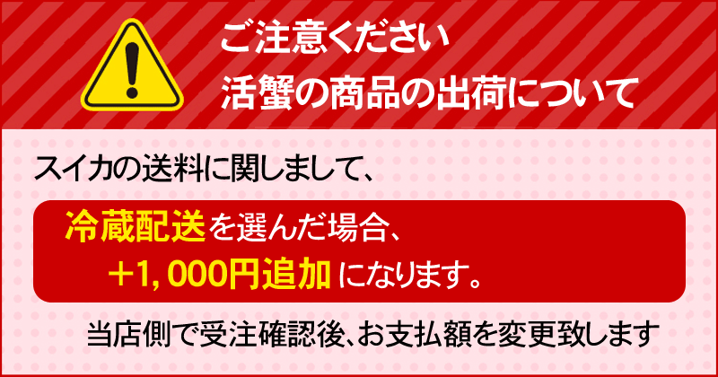 予約商品 送料無料 巨大 マドンナスイカ 秀品 5L〜6Lサイズ 10〜11kg