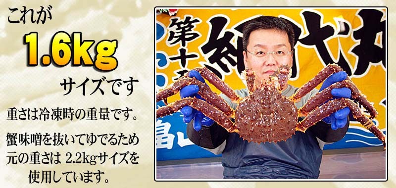 たらばがにの大きさ