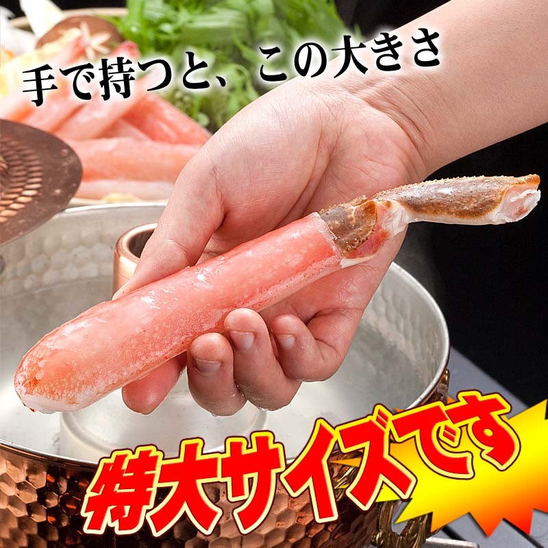 生ズワイガニ極太 かにしゃぶ カニしゃぶ 6Lサイズ 500g(ずわいがに か