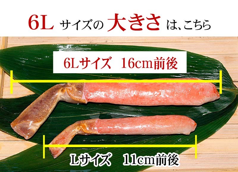 生ズワイガニ極太 かにしゃぶ カニしゃぶ 6Lサイズ 500g(ずわいがに か