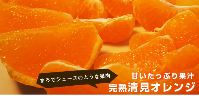 清見オレンジ
