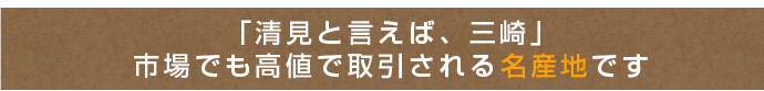 愛媛の清見オレンジ
