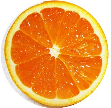 愛媛の清見オレンジ