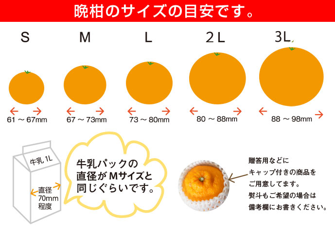 晩柑サイズ表
