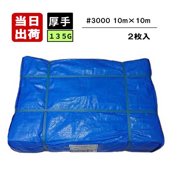 ブルーシート 厚手 #3000 10×10 2枚セット ブルーシート #3000 135G 厚手タイプ 10m×10m 2枚入 工事用シート 養生