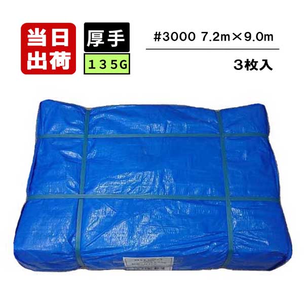 ブルーシート #3000 135G 厚手タイプ 10m×10m 2枚入 工事用シート 養生
