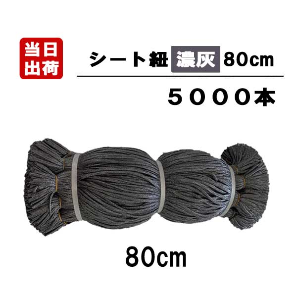 ★新品★ シート紐 80cｍ【5000本】【灰】 himo-8g5000-top.jpg