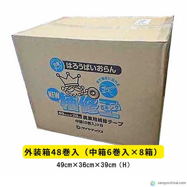 外装箱画像