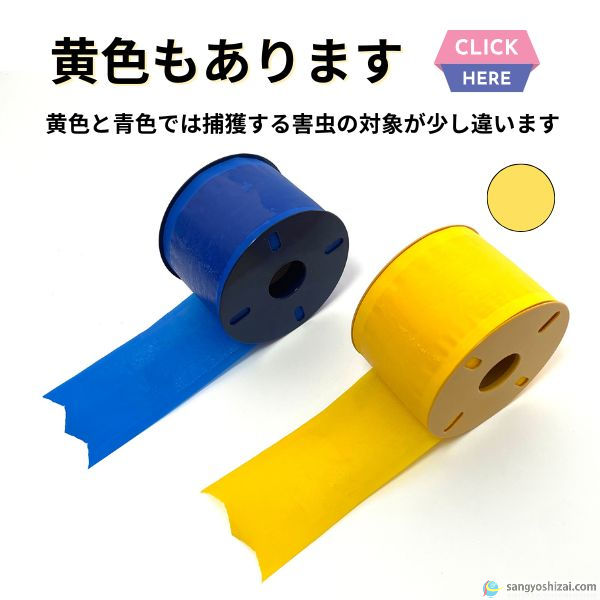 黄色もあります