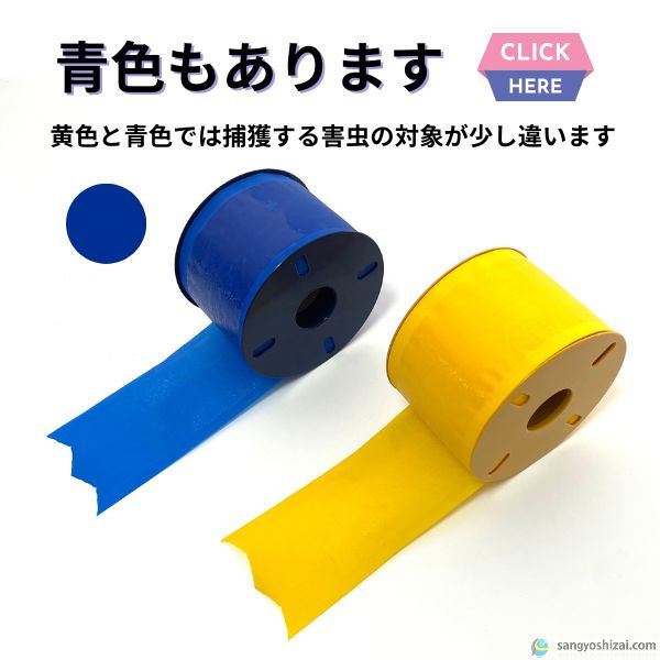 青色もあります