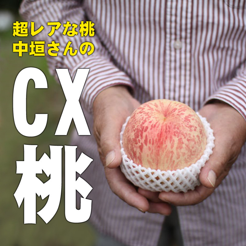 超レアな桃 CX（シーエックス） 3玉 観音山フルーツガーデン 送料無料 予約商品 : 2cx : 観音山フルーツガーデン - 通販 -  Yahoo!ショッピング