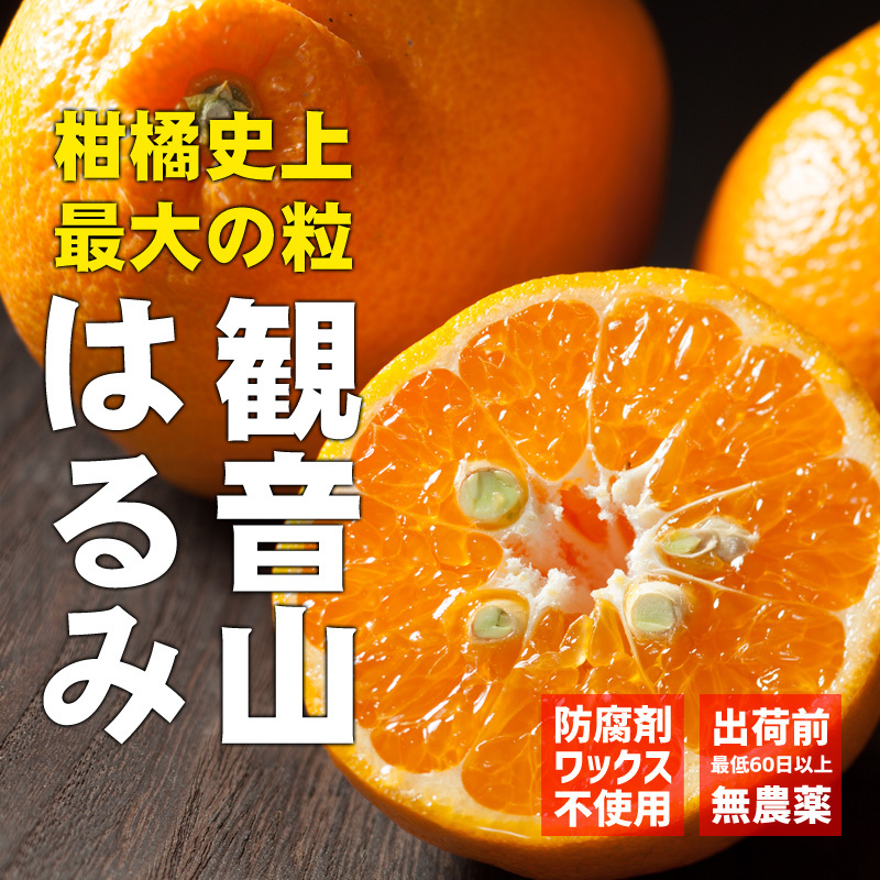 はるみ 健やかに A級品 3kg 和歌山 観音山フルーツガーデン 送料無料 : 2rua3kg : 観音山フルーツガーデン - 通販 -  Yahoo!ショッピング