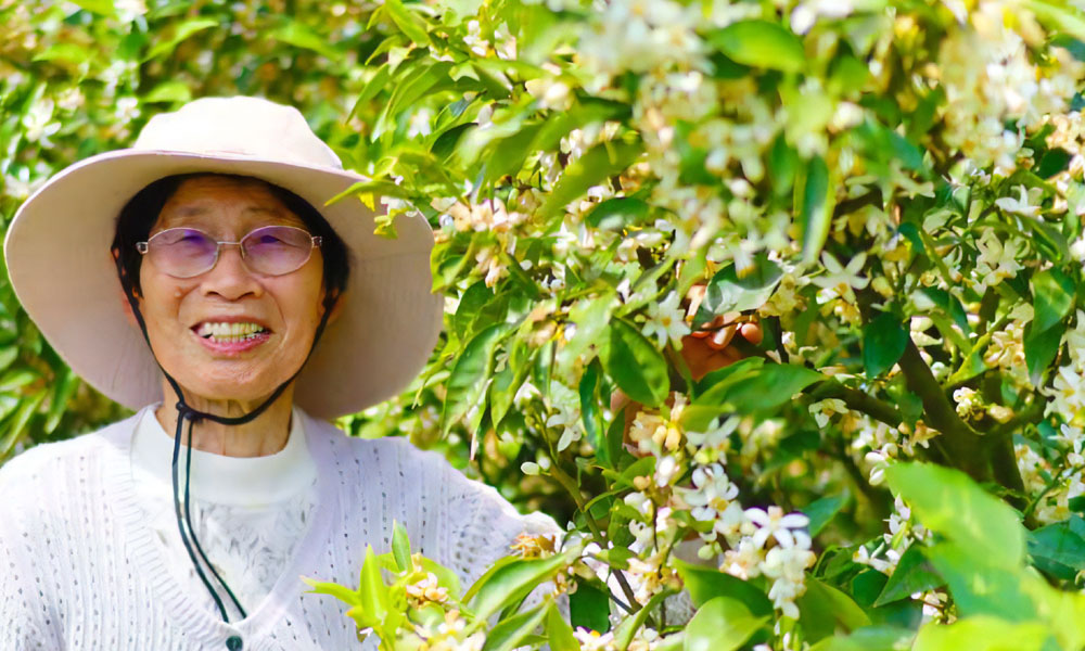 蜂蜜 みかん生はちみつ 令和7年産搾り ローハニー 1200g 観音山