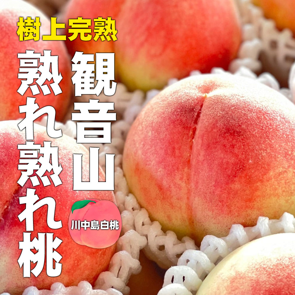 桃 川中島白桃 紀ノ川 熟れ熟れ桃 B級 4kg 和歌山 観音山