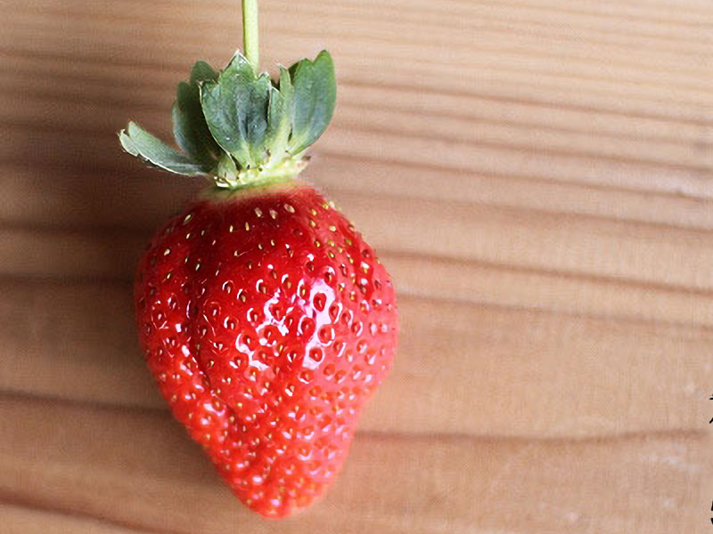 knystrawberry02.jpg