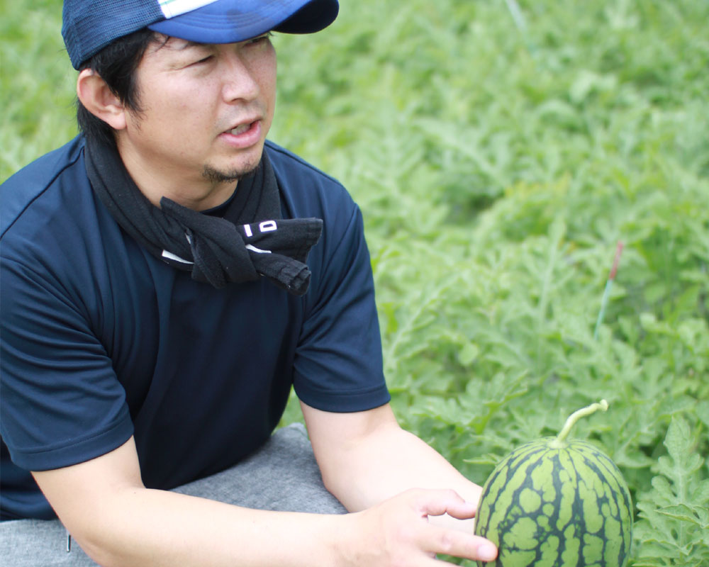 紅小玉スイカ ひとりじめプレミアム 2Lサイズ（約2.5kg） 和歌山