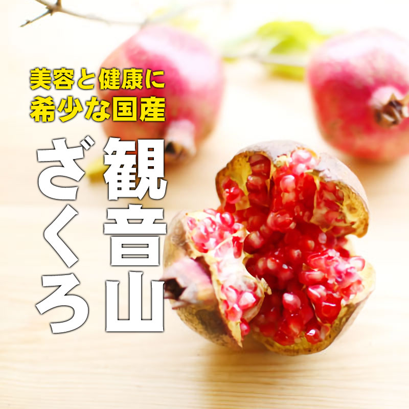 冷凍ざくろ C級品 大変希少な国産ザクロ 1kg 和歌山 観音山フルーツ
