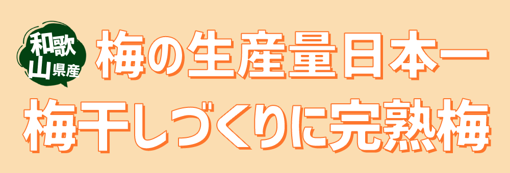 魅力的な 紀ノ川梅 完熟オレンジ梅 A級 10kg 和歌山 観音山フルーツガーデン 送料無料 予約商品 激安単価で Www Pickcenter It